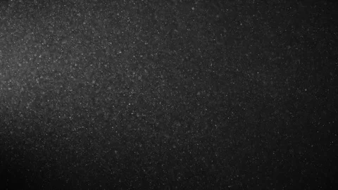 Natural Organic Dust Particles Float On Black Background. Dust In Motion. 库存影片 123327721