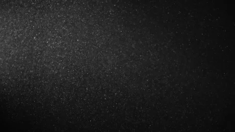 Natural Organic Dust Particles Float On Black Background. Dust In Motion. 库存影片 123327758