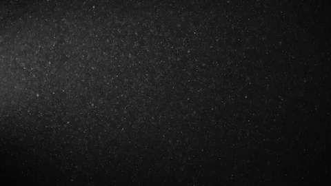 Natural Organic Dust Particles Float On Black Background. Dust In Motion. 库存影片 123328183