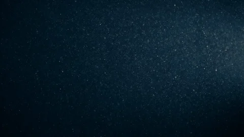 Natural Organic Dust Particles Float On Black Background. Dust In Motion. Vidéo 123328232