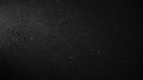 Natural Organic Dust Particles Float On Black Background. Dust In Motion. Stock-Footage 123328250