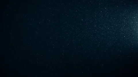 Natural Organic Dust Particles Float On Black Background. Dust In Motion. 库存影片 123328482