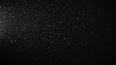 Natural Organic Dust Particles Float On Black Background. Dust In Motion. Stock Footage 123328492