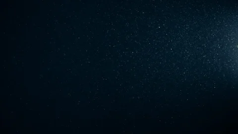 Natural Organic Dust Particles Float On Black Background. Dust In Motion. Stock Footage 123328524