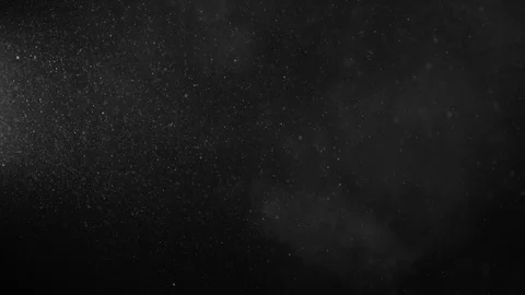 Natural Organic Dust Particles Float On Black Background. Dust In Motion. 库存影片 123328638