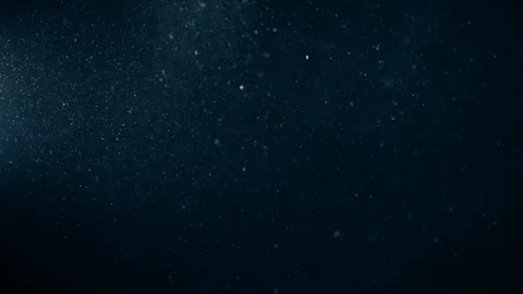 Natural Organic Dust Particles Float On Black Background. Dust In Motion. Stock Footage 123328721