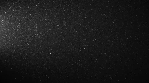 Natural Organic Dust Particles Float On Black Background. Dust In Motion. Stock Footage 123328913