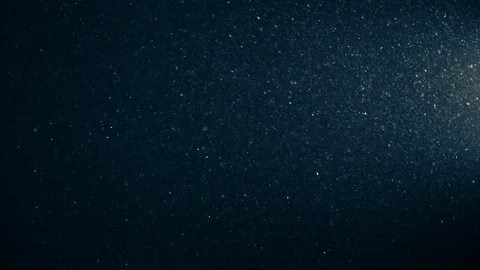 Natural Organic Dust Particles Float On Black Background. Dust In Motion. 库存影片 123328924