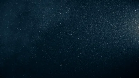 Natural Organic Dust Particles Float On Black Background. Dust In Motion. Vidéo 123329137