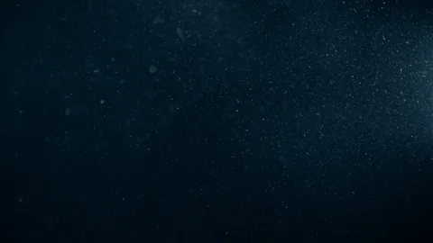 Natural Organic Dust Particles Float On Black Background. Dust In Motion. Stock Footage 123329283