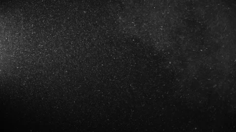 Natural Organic Dust Particles Float On Black Background. Dust In Motion. Stock Footage 123329287