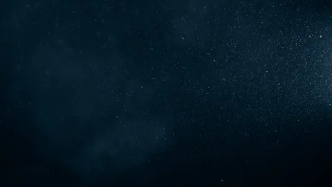 Natural Organic Dust Particles Float On Black Background. Dust In Motion. Vidéo 123329427