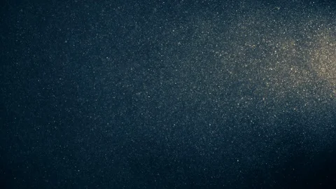 Natural Organic Dust Particles Float On Black Background. Dust In Motion. Vidéo 123329579