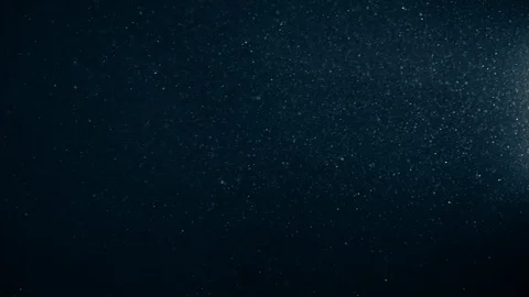 Natural Organic Dust Particles Float On Black Background. Dust In Motion. 库存影片 123329830