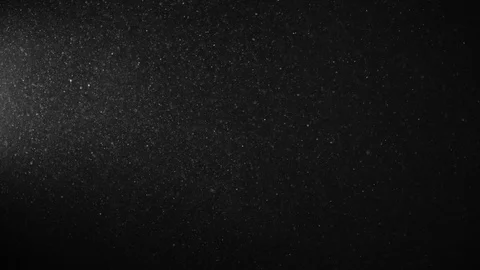 Natural Organic Dust Particles Float On Black Background. Dust In Motion. Stock Footage 123329912