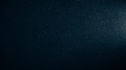 Natural Organic Dust Particles Float On Black Background. Dust In Motion. Vidéo 123330024