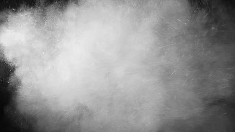 Natural Organic Dust Particles Float On Black Background. Dust In Motion. 库存影片 123330197