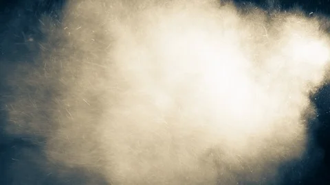 Natural Organic Dust Particles Float On Black Background. Dust In Motion. Vidéo 123330247