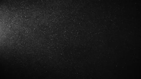 Natural Organic Dust Particles Float On Black Background. Dust In Motion. Vidéo 123330317
