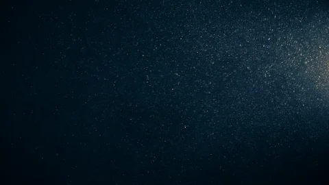 Natural Organic Dust Particles Float On Black Background. Dust In Motion. Stock-Footage 123330382