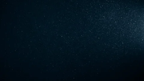 Natural Organic Dust Particles Float On Black Background. Dust In Motion. Vidéo 123330565
