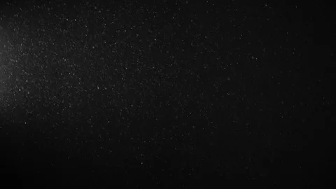 Natural Organic Dust Particles Float On Black Background. Dust In Motion. Stock-Footage 123330667