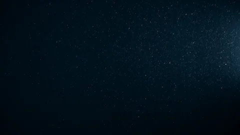 Natural Organic Dust Particles Float On Black Background. Dust In Motion. Stock Footage 123330722
