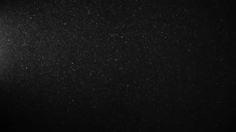 Natural Organic Dust Particles Float On Black Background. Dust In Motion. Vidéo 123330885