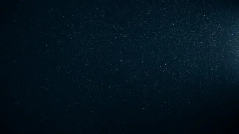 Natural Organic Dust Particles Float On Black Background. Dust In Motion. 库存影片 123330906