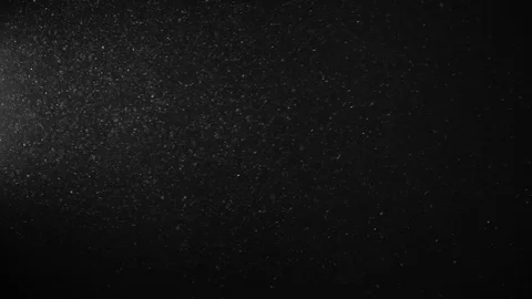 Natural Organic Dust Particles Float On Black Background. Dust In Motion. Vidéo 123331048