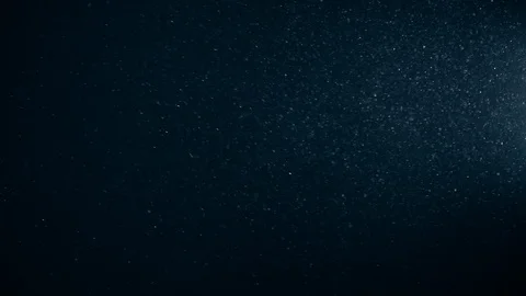 Natural Organic Dust Particles Float On Black Background. Dust In Motion. Vidéo 123331180