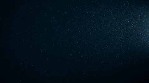 Natural Organic Dust Particles Float On Black Background. Dust In Motion. Vidéo 123331343