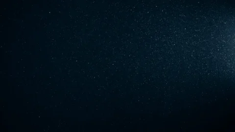Natural Organic Dust Particles Float On Black Background. Dust In Motion. Vidéo 123331431