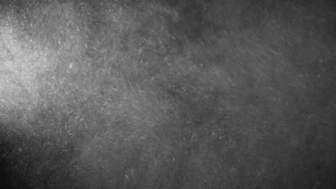 Natural Organic Dust Particles Float On Black Background. Dust In Motion. Stock Footage 123331648