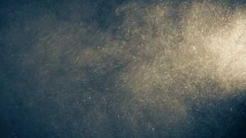 Natural Organic Dust Particles Float On Black Background. Dust In Motion. Stock Footage 123331866