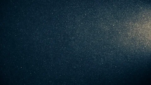 Natural Organic Dust Particles Float On Black Background. Dust In Motion. Vidéo 123331895