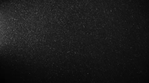 Natural Organic Dust Particles Float On Black Background. Dust In Motion. Stock-Footage 123332456