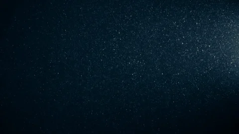 Natural Organic Dust Particles Float On Black Background. Dust In Motion. Stock Footage 123332564
