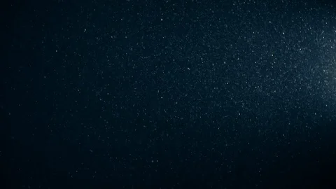 Natural Organic Dust Particles Float On Black Background. Dust In Motion. 库存影片 123332844