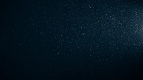 Natural Organic Dust Particles Float On Black Background. Dust In Motion. Vidéo 123332917