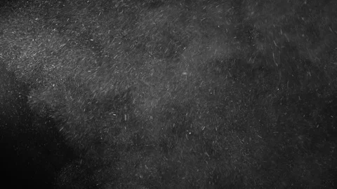 Natural Organic Dust Particles Float On Black Background. Dust In Motion. 库存影片 123332967