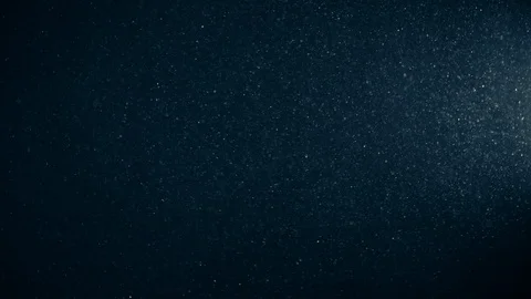 Natural Organic Dust Particles Float On Black Background. Dust In Motion. 库存影片 123333481