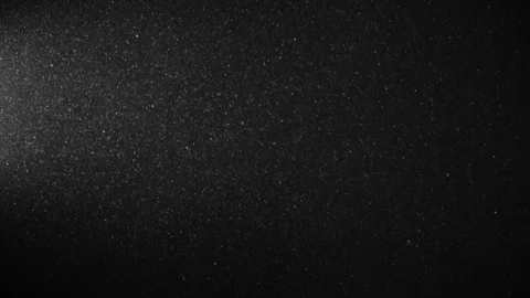 Natural Organic Dust Particles Float On Black Background. Dust In Motion. Stock Footage 123333622