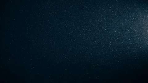 Natural Organic Dust Particles Float On Black Background. Dust In Motion. Stock Footage 123333731