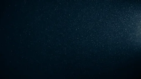 Natural Organic Dust Particles Float On Black Background. Dust In Motion. Stock Footage 123334011