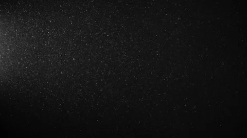 Natural Organic Dust Particles Float On Black Background. Dust In Motion. Stock Footage 123334022