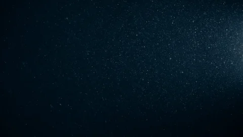 Natural Organic Dust Particles Float On Black Background. Dust In Motion. 库存影片 123334111