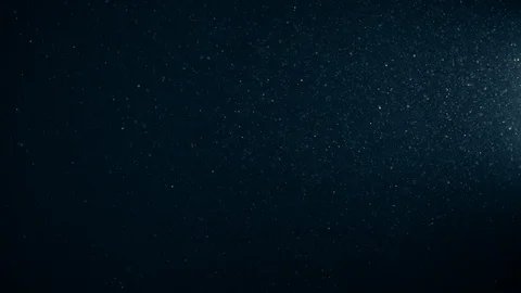 Natural Organic Dust Particles Float On Black Background. Dust In Motion. Stock-Footage 123334562