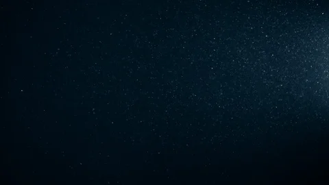Natural Organic Dust Particles Float On Black Background. Dust In Motion. Vidéo 123334620
