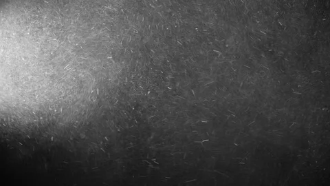 Natural Organic Dust Particles Float On Black Background. Dust In Motion. 库存影片 123334690